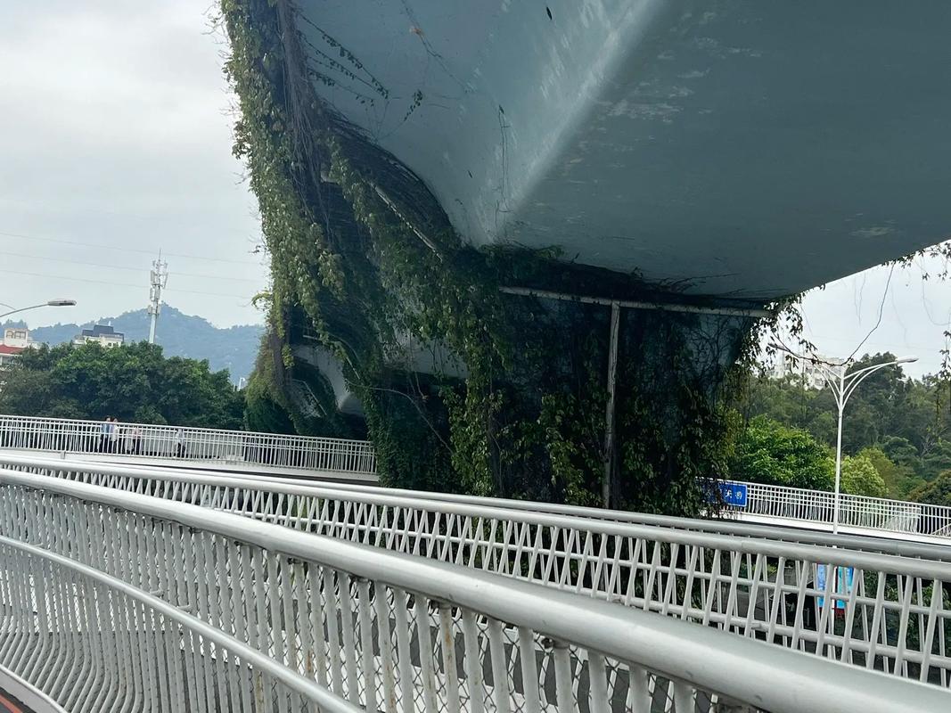 廈門 創(chuàng)新交通與設(shè)計的城市典范