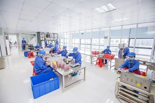 全網絡推廣助力食品OEM定制客戶開發(fā)與業(yè)績增長